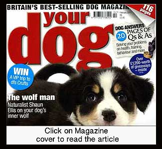 UK Dog Magazine