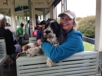 Ferrymead Dog Day Out 2017