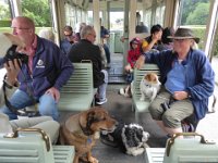 p1010657  Dogs on the tram. They are travelling well