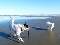 tess-sasha-beach