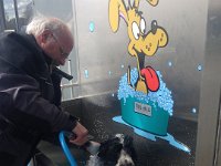 max-dog-wash