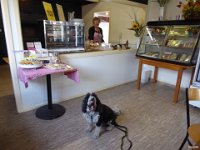 p1010707  Max and our furry friend allowed in the bakery